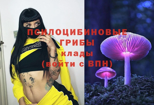 марки nbome Лабытнанги