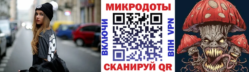 Псилоцибиновые грибы Psilocybine cubensis  Чкаловск 