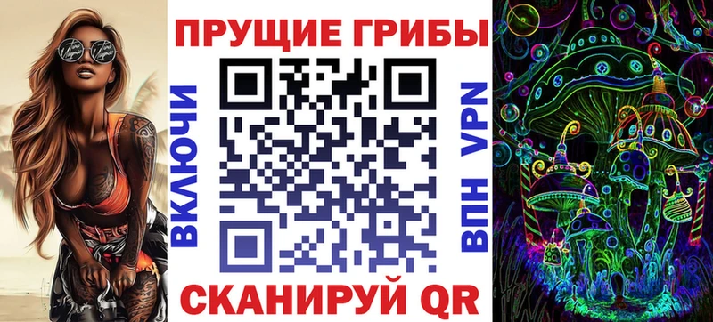 Галлюциногенные грибы Psilocybe Чкаловск