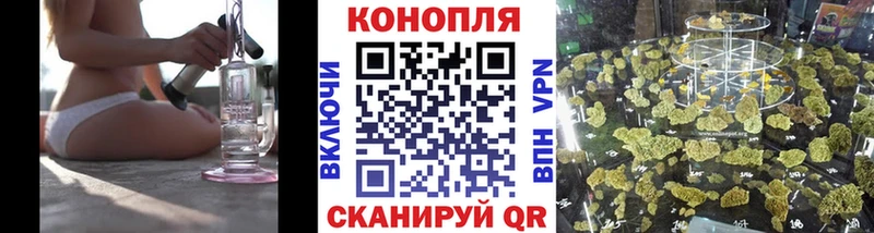 Каннабис гибрид где купить Чкаловск